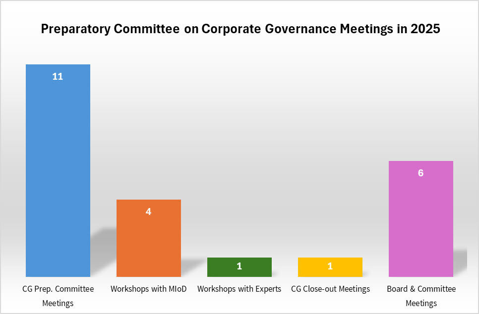 Audit Committee Meeting Attendance (2025)