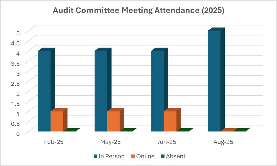 Audit Committee Meeting Attendance (2025)